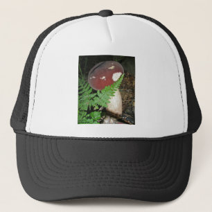 Casquette de champignons de velours