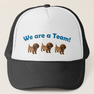 Casquette de chapeau d'équipe de teckel (bleu)