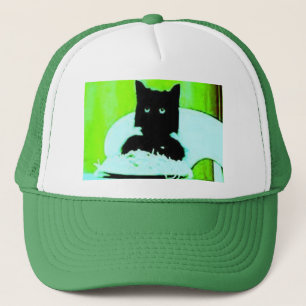 casquette de chat de spaghetti
