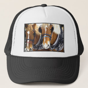 Casquette de chevaux de trait de Clydesdale