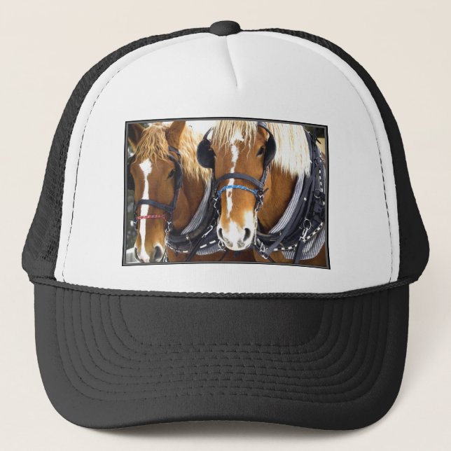 Casquette de chevaux de trait de Clydesdale (Devant)