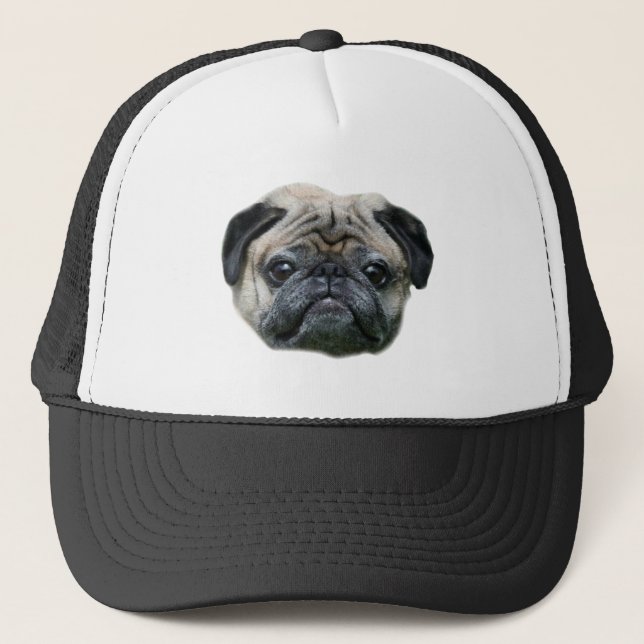 Casquette de chien de carlin (Devant)