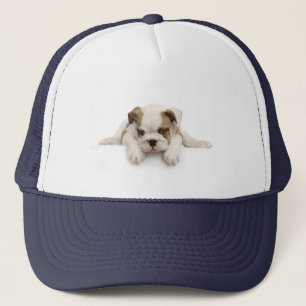 Casquette de chien de Taureau de l'anglais