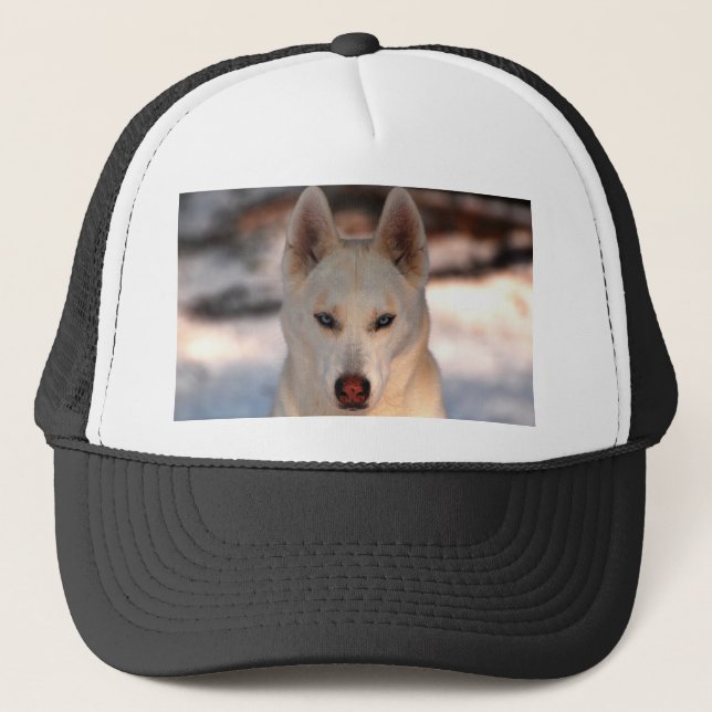 Casquette de chien de traîneau sibérien (Devant)