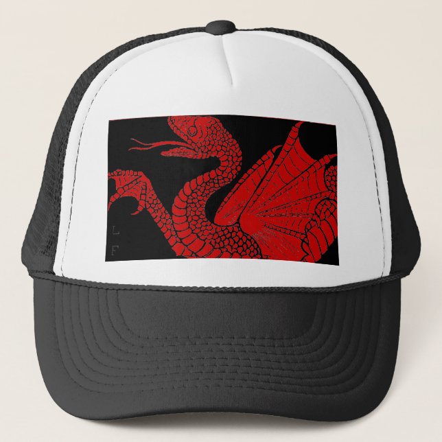 Casquette de dragon (Devant)