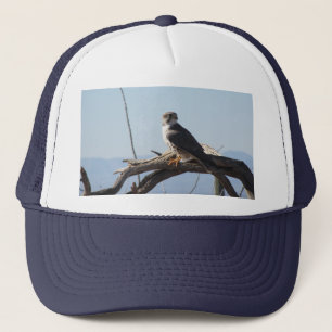 Casquette de faucon de prairie