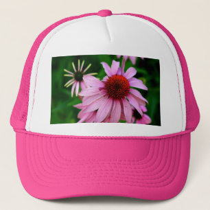 casquette de fleur rose echinacea