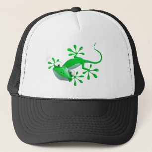 Casquette de Gecko