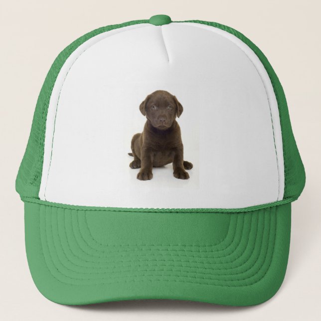 Casquette de Labrador de chocolat (Devant)
