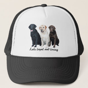 Casquette de labrador retriever