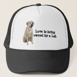 Casquette de labrador retriever