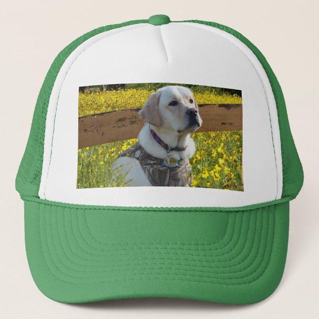 Casquette de labrador retriever en The Field (Devant)