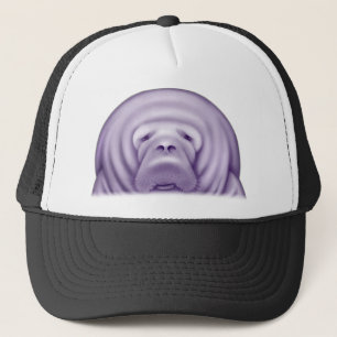 Casquette de lamantin