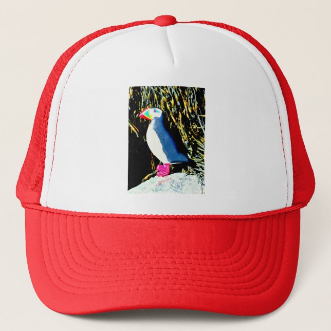 casquette de macareux de l'atlantique (Devant)