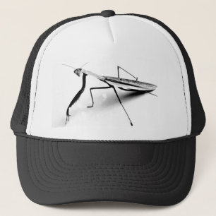 Casquette de mante de prière