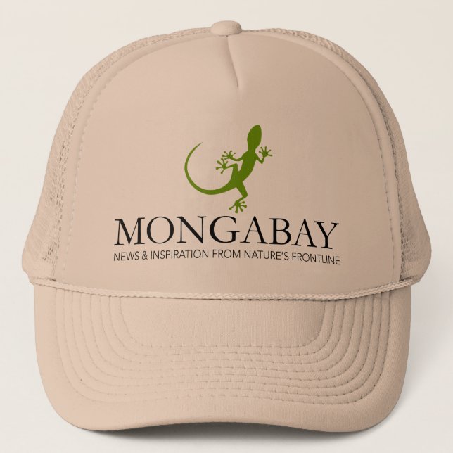 Casquette de Mongabay Lizard (Devant)