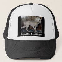 Casquette de moulin de chiot