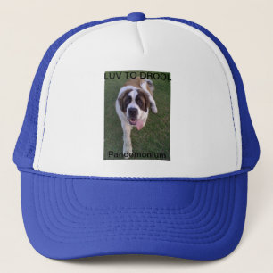 casquette de panda