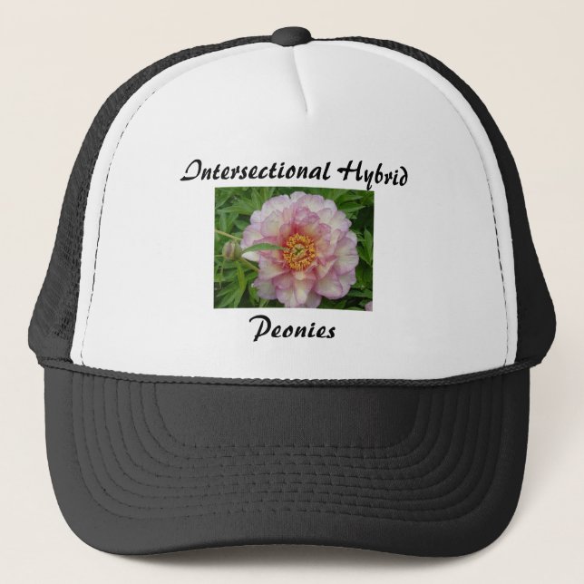 Casquette de pivoine d'Intersectional, noir (Devant)