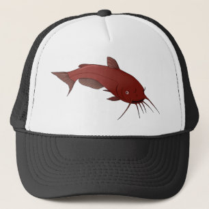 CASQUETTE DE POISSON-CHAT !