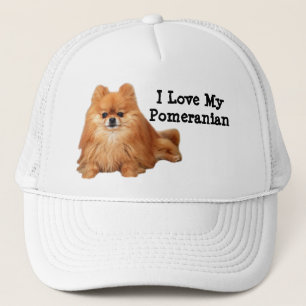 Casquette de Pomeranian