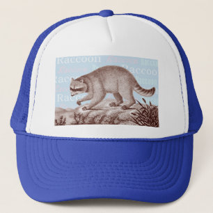 Casquette de raton laveur - grand pour des