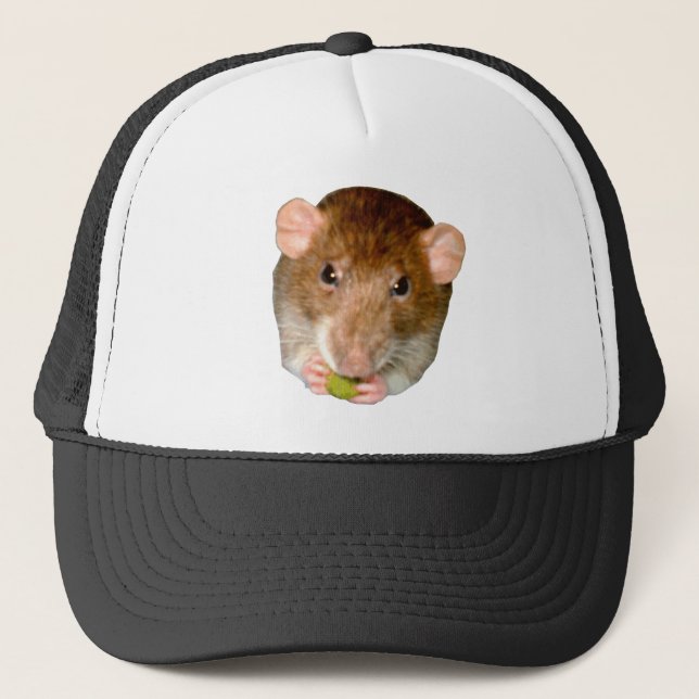 Casquette de rats affamés (Devant)