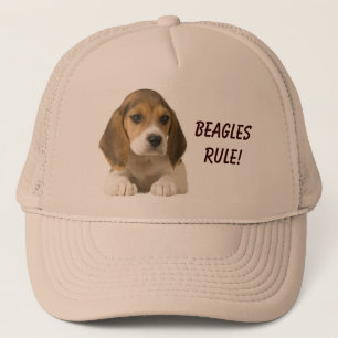 Casquette de règle de beagles