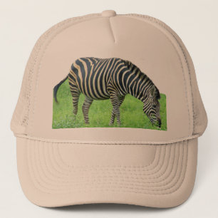 Casquette de safari de zèbre