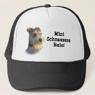 Casquette de Schnauzer miniature