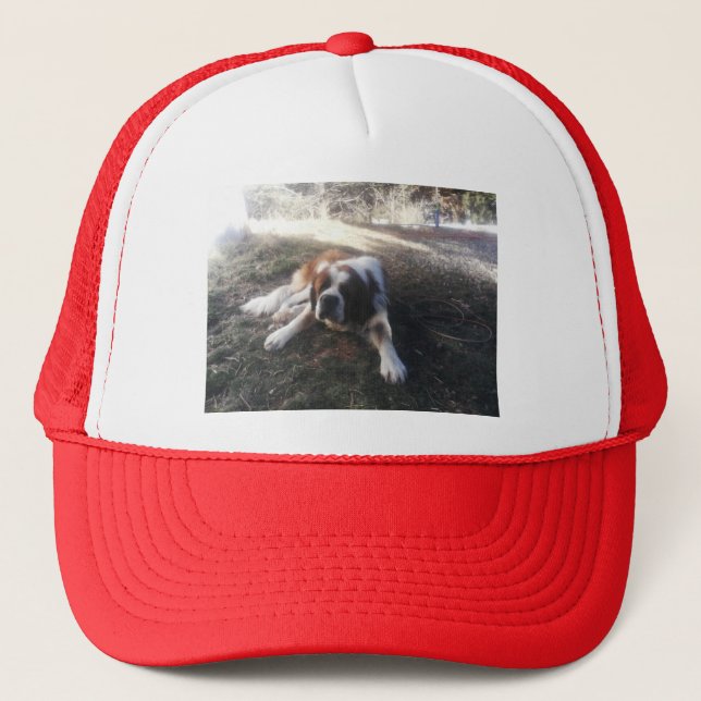 casquette de St Bernard (Devant)