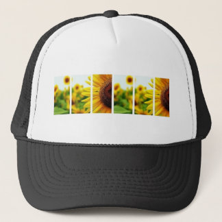 Casquette de tournesol