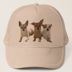 Casquette de trio de chiwawa