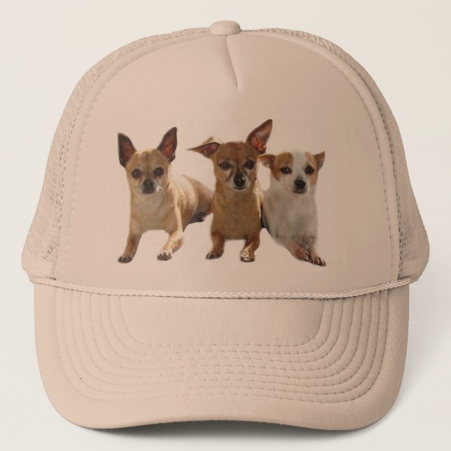 Casquette de trio de chiwawa (Devant)