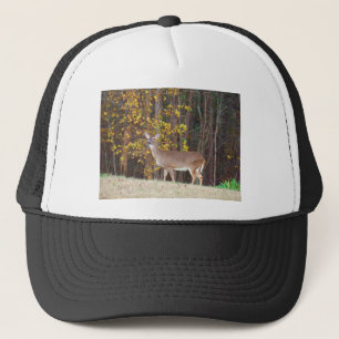 Casquette Deer in Front of Yellow Autumn Tree