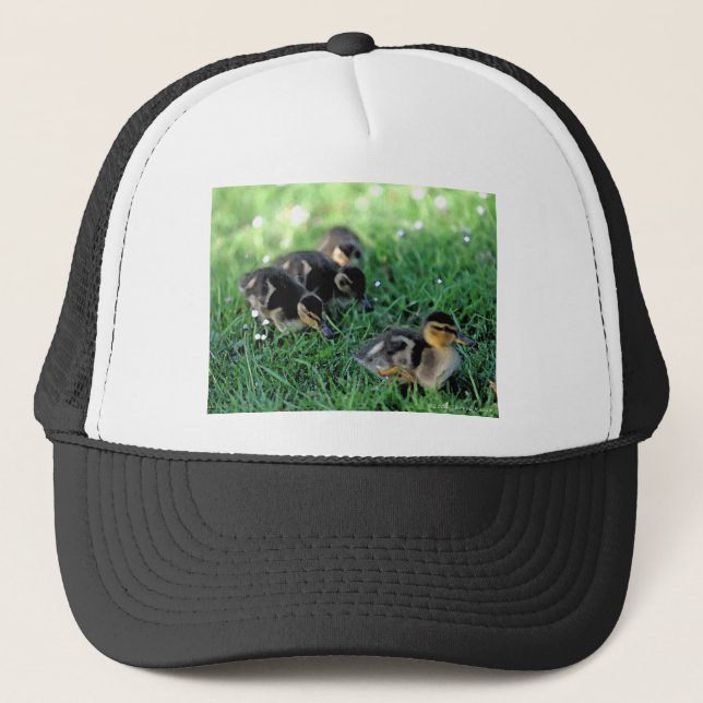 Casquette Défilé de canards (Devant)