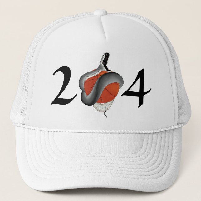 Casquette des EA Mamba noir (Devant)