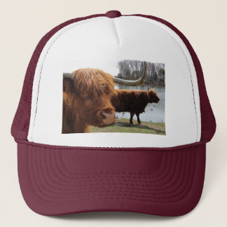 Casquette des montagnes écossais de ~ de bétail
