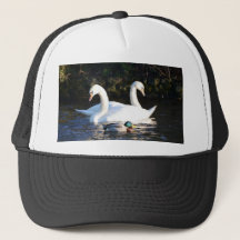 Deux cygnes et un canard