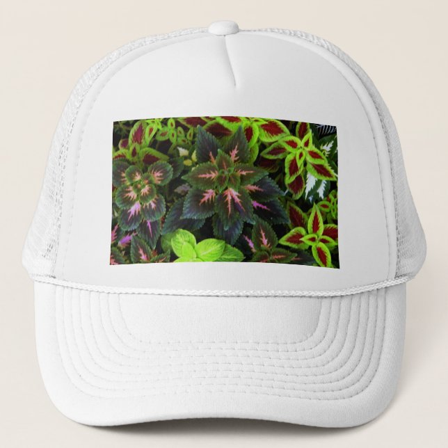 Casquette Devenez écolo_ (Devant)