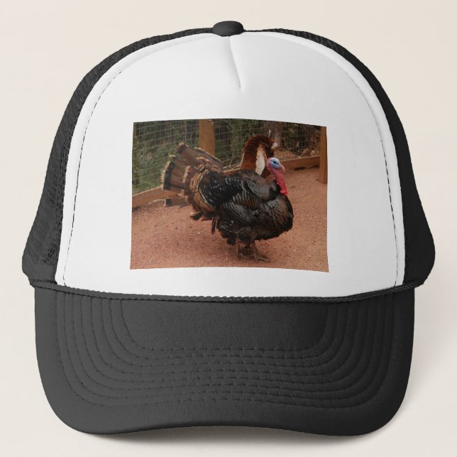 Casquette dinde, thanksgiving (Devant)