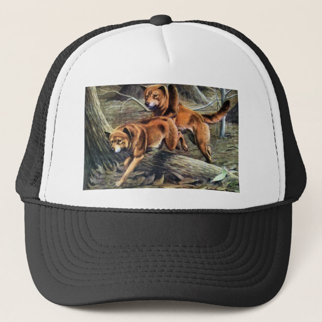 Casquette Dingo australien (Devant)