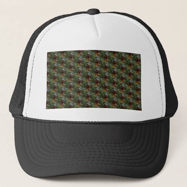 Casquette dinosaures jurassiques (Devant)