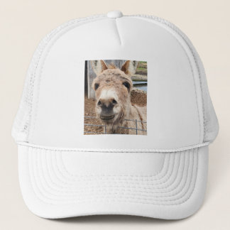 Casquette "Donkey" 
