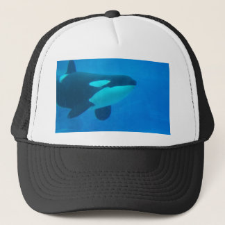 Casquette d'orque d'épaulard bleu sous l'eau