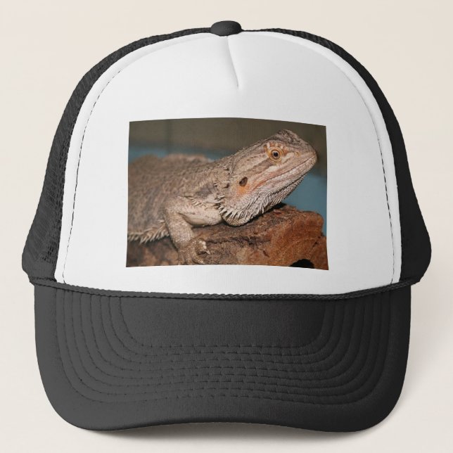 Casquette Dragon barbu (Devant)