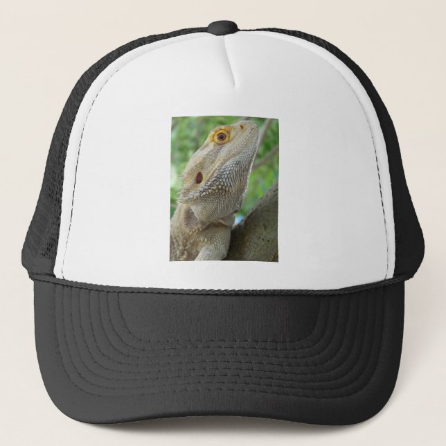 Casquette Dragon barbu (Devant)