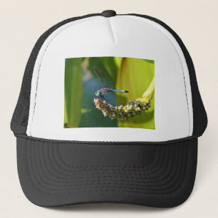 Casquette Dragonfly aux yeux turquoises