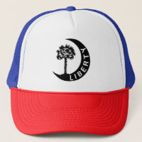 Drapeau de Moultrie de paume et de croissant de