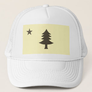 Casquette Drapeau historique du Maine (1901-1909)